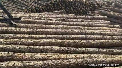 武汉杉木桩市场批发价格参差不齐，透视木材加工环节的“操控者”