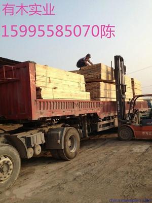 太仓木材加工厂 木方加工与包装材料销售的一站式解决方案